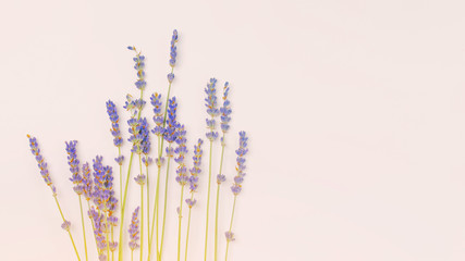 bouquet of violet lilac purple lavender flowers arranged on white table background. Top view, flat...