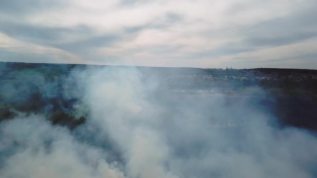 Aerial view of big smoke clouds and fire on the field. Close up view of wildfire, spreading flames of forest fire