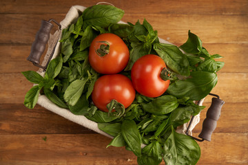 Tomatoes and basil in basket