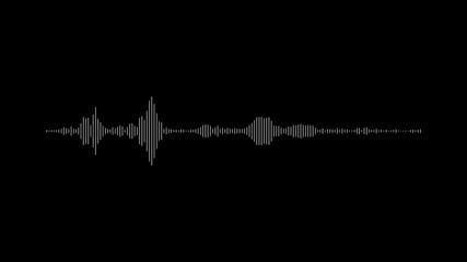 Audio wave spectrum. Music sound waves.