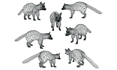 Raccoon lines illustration. Abstract vector raccoon on the white background
