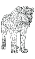 Young lion lines illustration. Abstract vector lion on the white background
