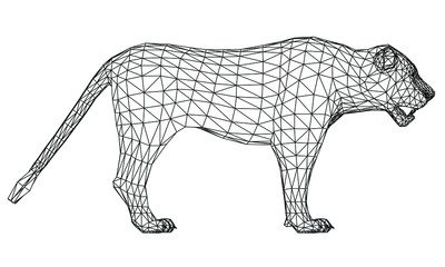 Young lion lines illustration. Abstract vector lion on the white background