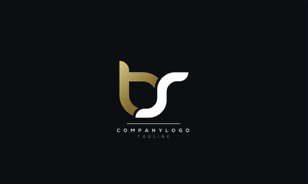 bs Letter Logo Design Icon Vector Symbol
