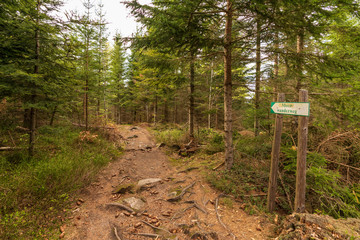 Moor Wanderweg