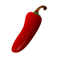 Isolated red chili pepper