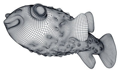 Puffer fish polygonal lines illustration. Abstract vector fish on the white background © kurtcan
