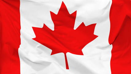 Fragment of a waving flag of the Canada in the form of background, aspect ratio with a width of 16 and height of 9, vector