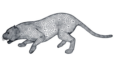 Attack tiger lines illustration. Abstract vector tiger on the white background