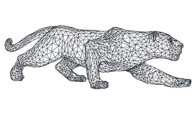 Attack leopard lines illustration. Abstract vector leopard on the white background