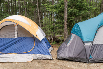 tourist tents in the forest campsite summer day.