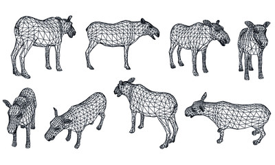 Moose polygonal lines illustration. Abstract vector moose on the white background