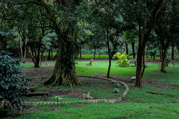 Bosque parque personal