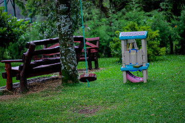 Bancas de madera columpio clasico en arbol