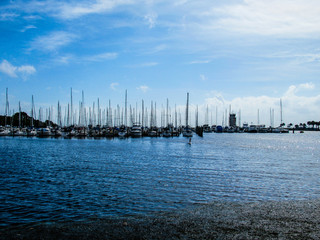 Fototapeta premium The marina