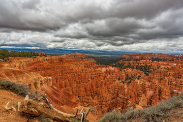 Snow in Bryce Canyon National Park, Utah