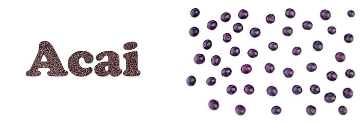 Acai berries, the organic fruit of the Amazon - Euterpe oleracea