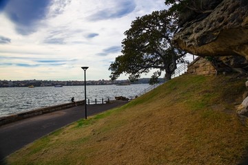 Fototapeta premium Beautiful Park on Sydney Australia harbour 