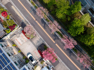 ドローンで空撮した春の都市の街並みの風景