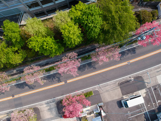 ドローンで空撮した春の都市の街並みの風景