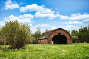 Obraz premium A crumbling large barn with fading red paint used as a storage shed for farm equipment in tall grass surrounded by trees in a summer countryside landscape