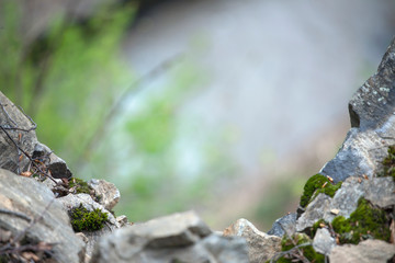 Mossy forest background. moss covered rock at blured mountain woods green landscape. Nature ecology wallpaper concept