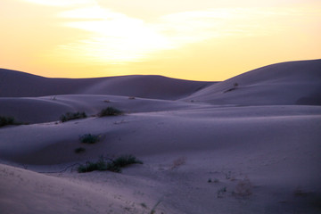 Desert Dunes