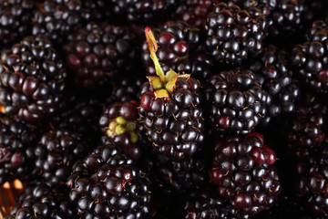 Blackberry background