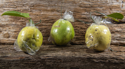 Guava fruits (Psidium guajava L.) in natura wrapped in plastic protective capsule