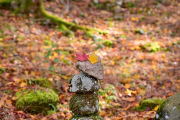 石積み塔の上に落ちたカラフルなモミジの葉