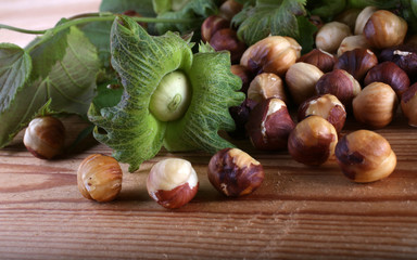 Hazelnuts on table