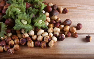 Hazelnuts on table