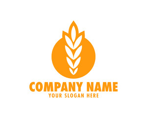 Agriculture wheat Logo Template vector icon design