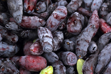Honeysuckle berries background