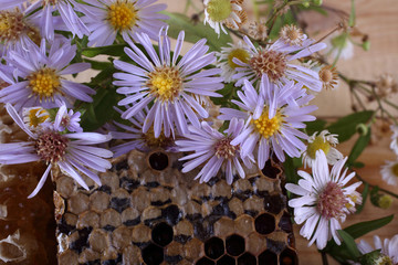 Honey and flowers on table