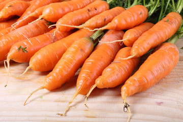 Carrots harvest