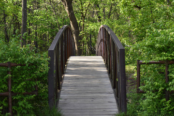 Fototapeta premium Pedestrian bridge in the woods