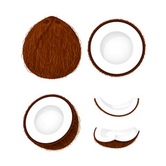 coconut brown fruit and half cut isolated on white, illustration coconut brown half slice for clip art, coconut simple for icon