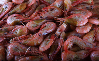 Shrimps background