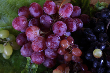 Grape background