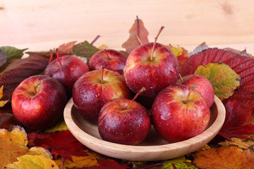 Apples on autumn leaves