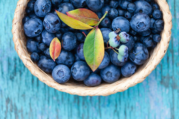 fresh blueberries