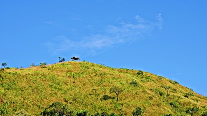 hiking in the mountains