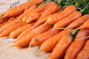 Carrots harvest