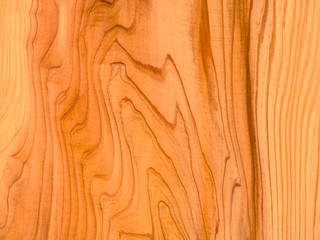 杉板のバックグラウンド