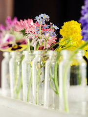 summer flowers in the bottles