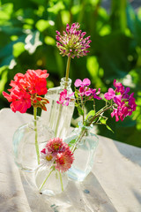 summer flowers in the bottles