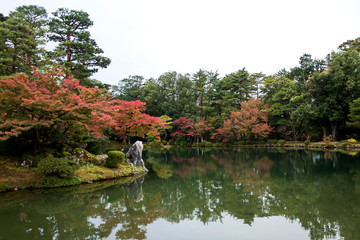 Fall at Kenrokuen in Ishikawa, Japan