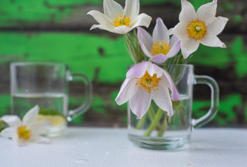Delicate white spring flowers in a glass bowl