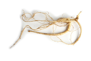Ginseng isolated on white background